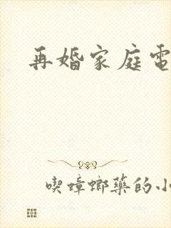 再婚家庭电视剧