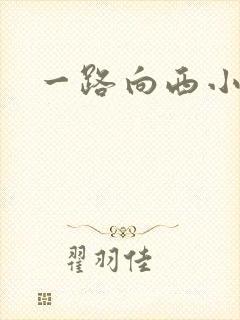 一路向西小说