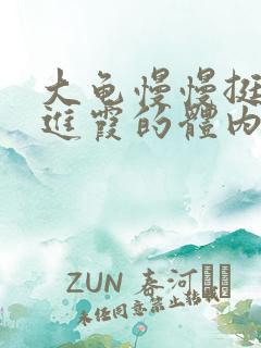 大龟慢慢挺进王进霞的体内