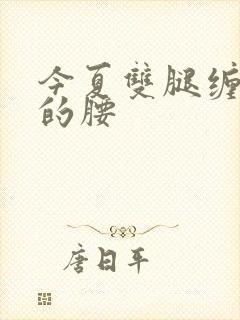 今夏双腿缠陆绎的腰