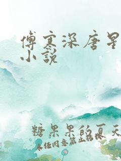 傅寒深唐星挽的小说