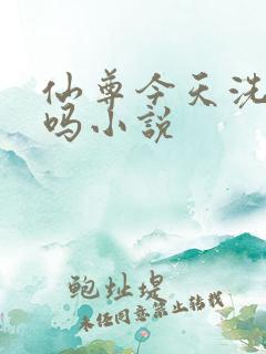 仙尊今天洗白了吗小说