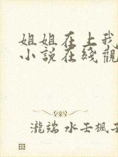 姐姐在上我在下小说在线观看