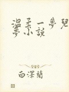 温柔一梦儿媳林梦小说