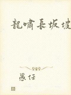 龙啸长坂坡