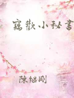 窃欢小秘书