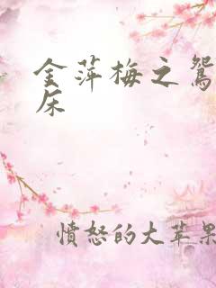 金萍梅之鸳鸯铣床