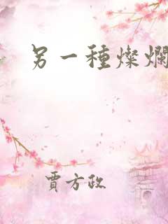 另一种灿烂生活