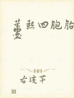 叶熙四胞胎厉子墨