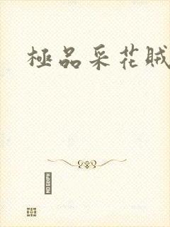 极品采花贼