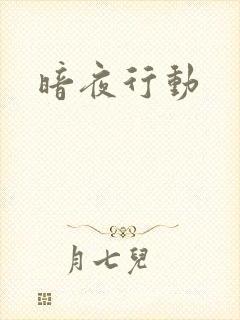 暗夜行动