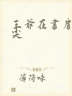 王爷在书房含乳尖