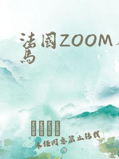 法国ZOOM人马