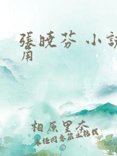 张晓芬 小说主角