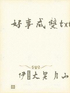 好事成双txt