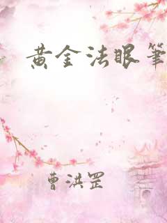 黄金法眼笔趣阁
