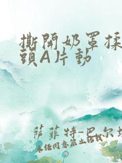 撕开奶罩揉吮奶头A片动