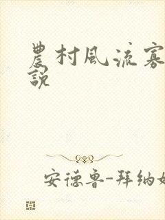 农村风流寡妇小说