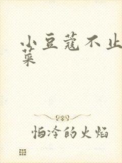 小豆蔻不止是颗菜