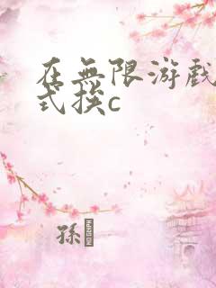 在无限游戏里花式挨c