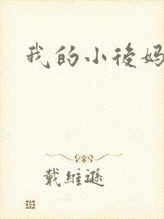我的小后妈小说