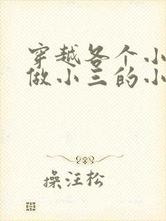 穿越各个小世界做小三的小说