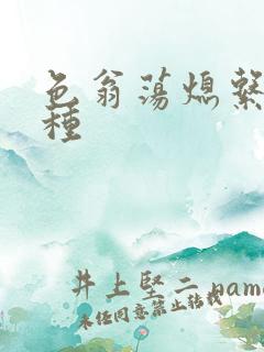 色翁荡熄系列借种