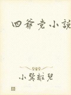 四爷党小说