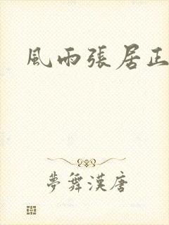 风雨张居正下载