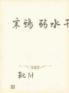 寒鸦 弱水千流