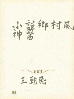 小说乡村风流小神医