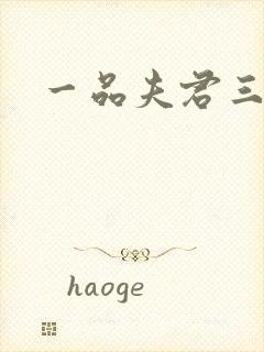 一品夫君三流妻