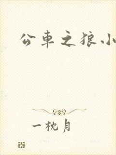 公车之狼小说