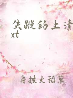 失踪的上清寺txt