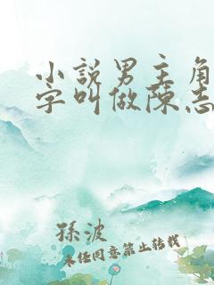 小说男主角的名字叫做陈志远