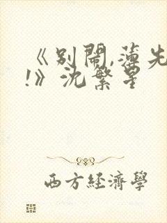 《别闹,薄先生!》沈繁星