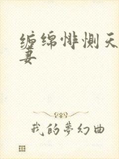 缠绵悱恻天价前妻