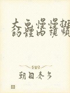 大龟慢慢挺进我的体内视频