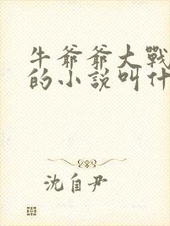 牛爷爷大战小丽的小说叫什么