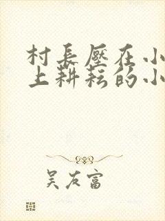 村长压在小娥身上耕耘的小说