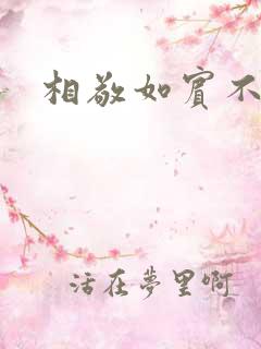 相敬如宾不相睹