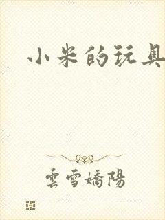 小米的玩具日记