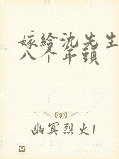 嫁给沈先生的第八个年头