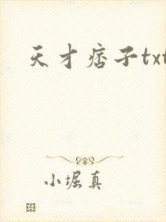 天才痞子txt
