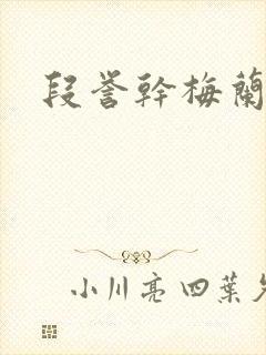 段誉干梅兰竹菊