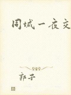 同城一夜交友