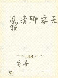 凤清卿容天凌小说