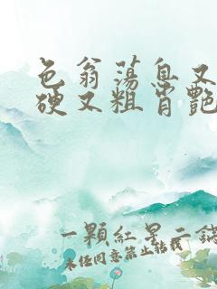 色翁荡息又大又硬又粗肖艳