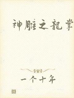 神雕之龙掌门