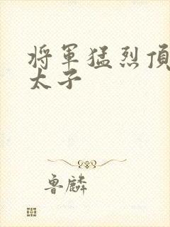 将军猛烈顶弄h太子